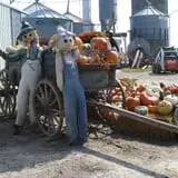Schaake's Pumpkin Patch photo