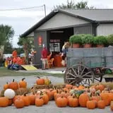 Schaake's Pumpkin Patch photo