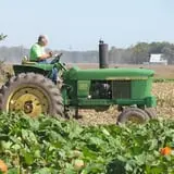 Schaake's Pumpkin Patch photo