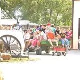 Schaake's Pumpkin Patch photo