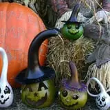 Schaake's Pumpkin Patch photo