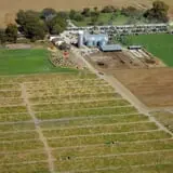 Schaake's Pumpkin Patch photo