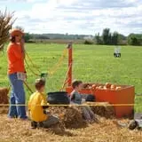 Schaake's Pumpkin Patch photo