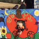 Buffalo Pumpkin Patch photo