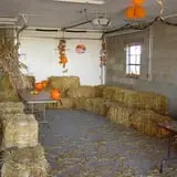 Buffalo Pumpkin Patch photo