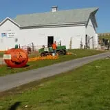 Buffalo Pumpkin Patch photo
