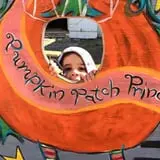 Buffalo Pumpkin Patch photo