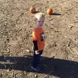 Buffalo Pumpkin Patch photo