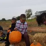 Buffalo Pumpkin Patch photo