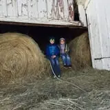 Buffalo Pumpkin Patch photo