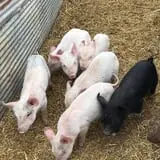 7th Generation Farm photo