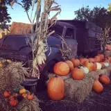 7th Generation Farm photo