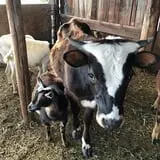 7th Generation Farm photo