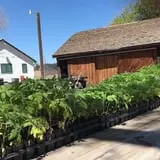 7th Generation Farm photo