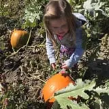 7th Generation Farm photo