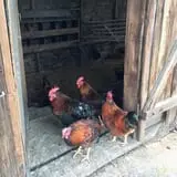 7th Generation Farm photo