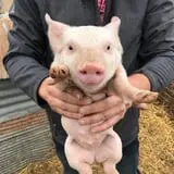 7th Generation Farm photo