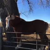 7th Generation Farm photo