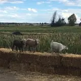 7th Generation Farm photo