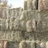 7th Generation Farm photo