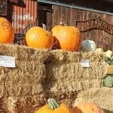 7th Generation Farm photo
