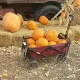 7th Generation Farm photo