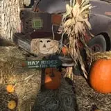 7th Generation Farm photo