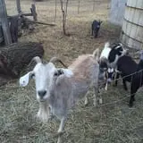7th Generation Farm photo