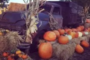 7th Generation Farm