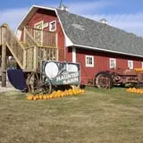 Patch 22 photo