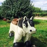 Beechwood Farms photo