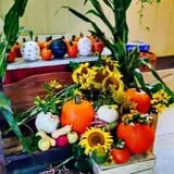 Beechwood Farms photo