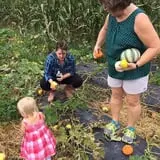 Beechwood Farms photo