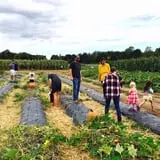 Beechwood Farms photo