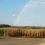 Beechwood Farms photo