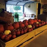 Beechwood Farms photo