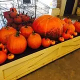 Beechwood Farms photo