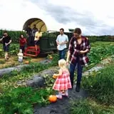 Beechwood Farms photo