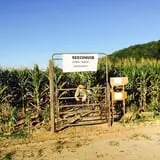 Beechwood Farms photo