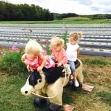 Beechwood Farms photo