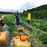 Beechwood Farms photo