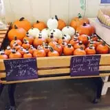 Beechwood Farms photo