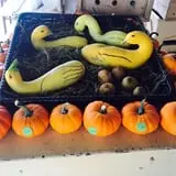 Beechwood Farms photo