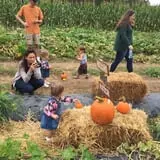 Beechwood Farms photo