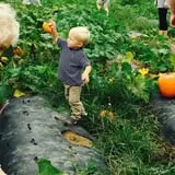 Beechwood Farms photo