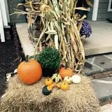 Beechwood Farms photo