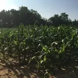 Beechwood Farms photo