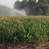 Beechwood Farms photo