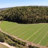 Beechwood Farms photo