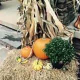 Beechwood Farms photo